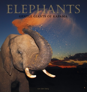 Elephants - Gentle Giants of Kapama