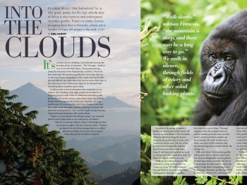 Rwanda - Into the Clouds