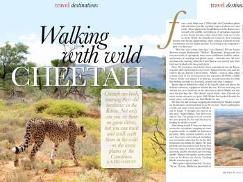 Walking With wild cheetah