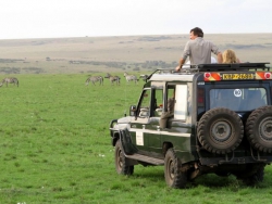 Maasai Mara views