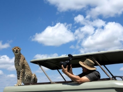 Maasai Mara, Kenya