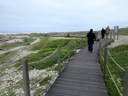Everyone can enjoy the coastline from the elevated boardwalk